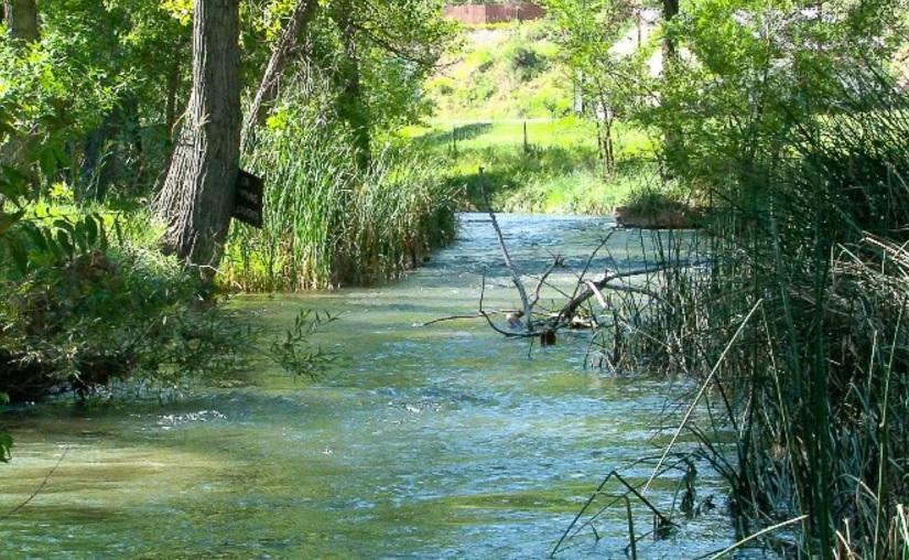 הוט ספרינגס Allen Ranch מראה חיצוני תמונה